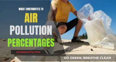 Factors Behind Air Pollution Percentages