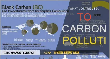 Sources of Carbon Pollution and Their Impact