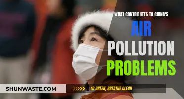 Air Pollution in China: The Complex Causes
