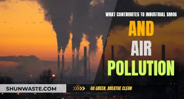 Industrial Smog and Air Pollution: Causes and Effects