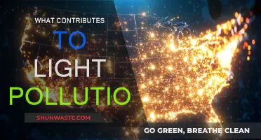 Sources of Light Pollution: Understanding the Problem