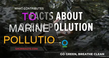 Human Impacts on Marine Pollution