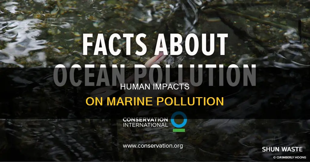 what contributes to marine pollution