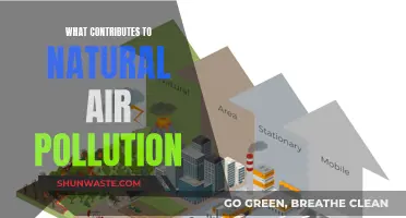Air Pollution: Nature's Unseen Culprits