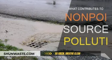 Causes of Nonpoint Source Pollution: A Complex Environmental Issue