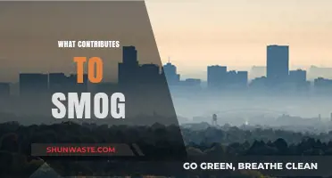 Sources of Smog: Understanding the Key Contributors