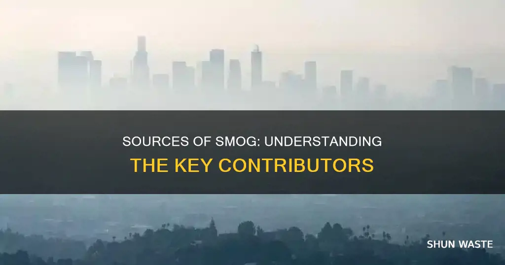 what contributes to smog