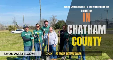 Chatham County's Air Pollution: Unhealthy Contributors