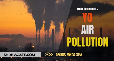 Sources of Air Pollution: A Comprehensive Overview