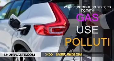 Ford's Innovations: Gas and Pollution