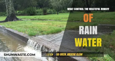 Managing Rainwater Runoff: Strategies to Reduce Waste and Protect Ecosystems