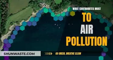 Sources of Air Pollution: The Main Culprits Revealed
