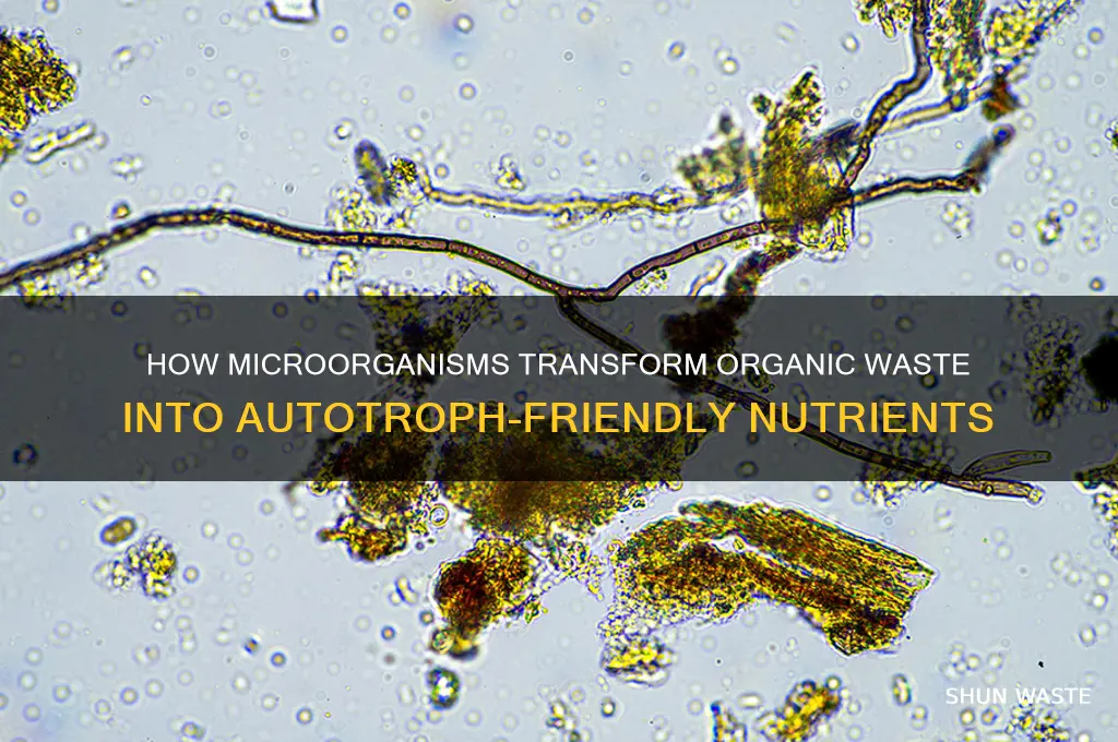what converts organic wastes into compounds useable by autotrophs