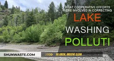 Lake Washington Cleanup: A Community Effort