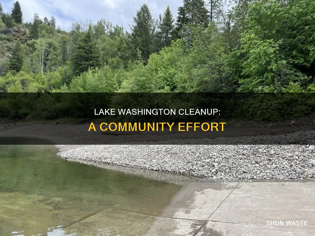 what cooperative efforts were involved in correcting lake washington pollution