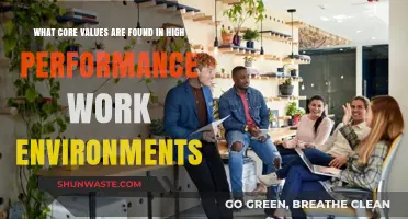 Cultivating Excellence: Core Values Driving High-Performance Work Environments
