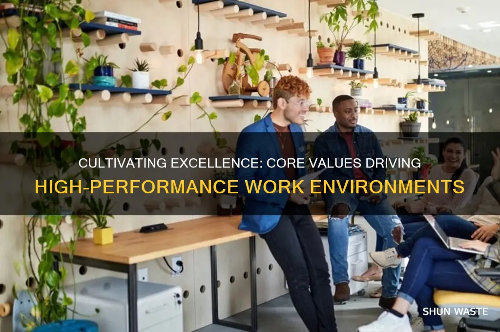 what core values are found in high performance work environments