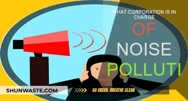 Who Controls Noise Pollution? Regulatory Bodies and Their Roles