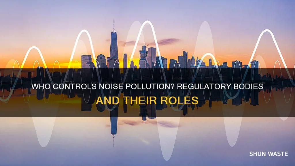 what corporation is in charge of noise pollution