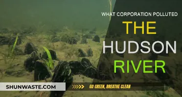 Who Polluted the Hudson River? The Shocking Truth