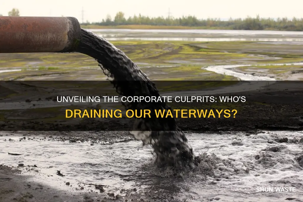 what corporations create water pollution