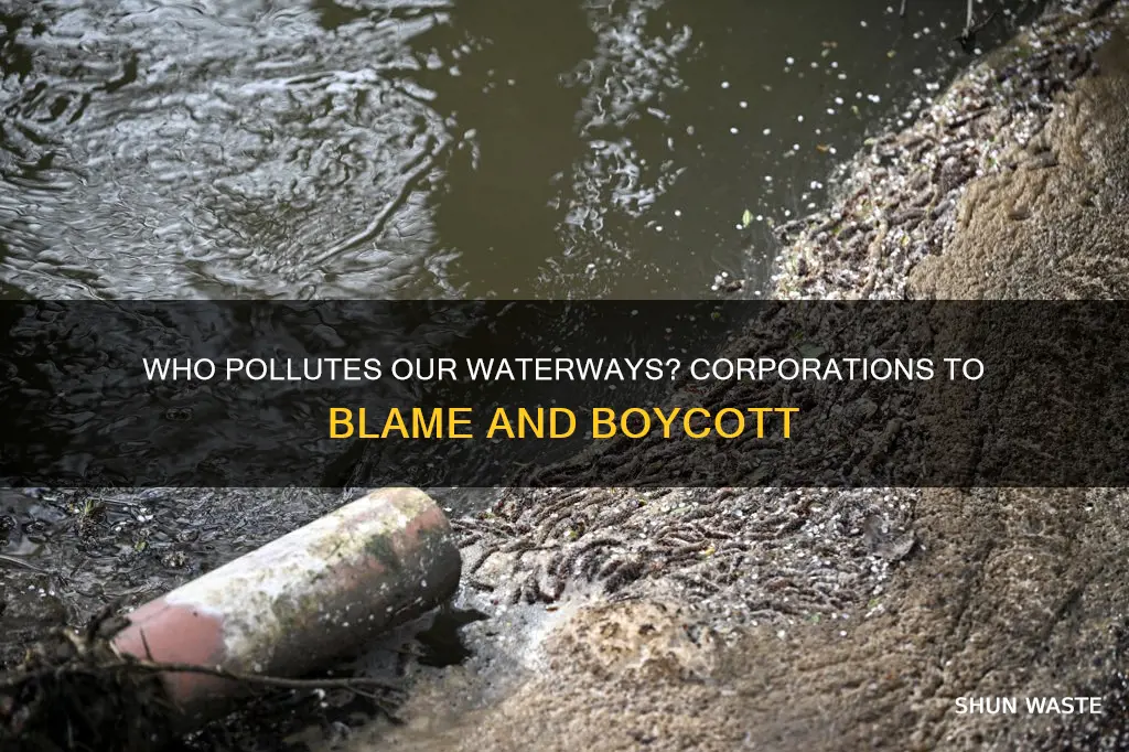 what corporations create water pollution