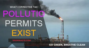 Corrective Tax Solutions: Pollution Permits Explained