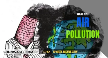 Air Pollution: A Costly Affair for Our Planet