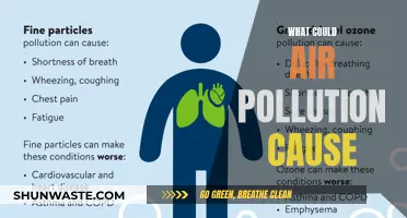 Unveiling the Hidden Dangers: Air Pollution's Impact on Health