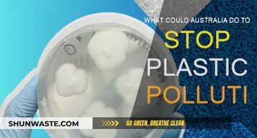 Australia's Action Plan to End Plastic Pollution