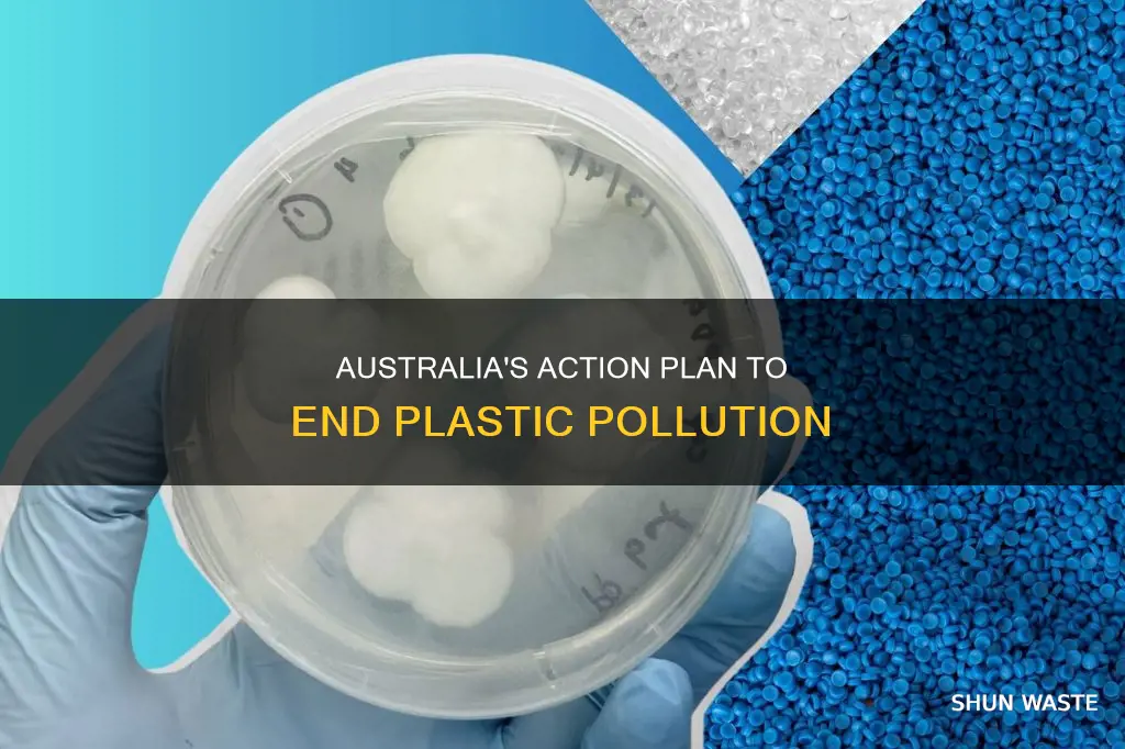what could australia do to stop plastic pollution