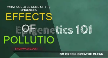 Epigenetic Impacts of Pollution: Understanding the Unknown