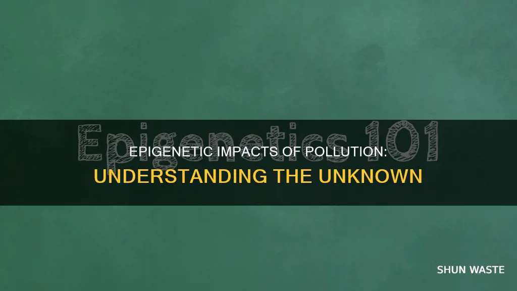 what could be some of the epigenetic effects of pollution