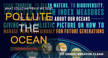 Protecting Our Oceans: A Future Without Pollution