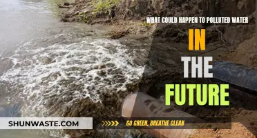 Future's Water Crisis: Polluted Rivers, Lakes, and Beyond