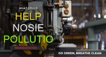 Solutions to Noise Pollution: A Quieter World