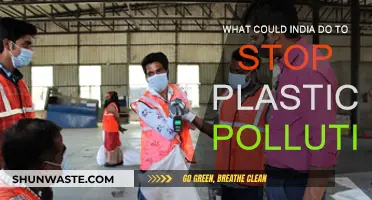 India's War on Plastic Pollution: Strategies and Solutions