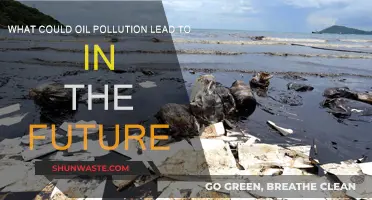 Oil Pollution: Future Environmental Catastrophe?