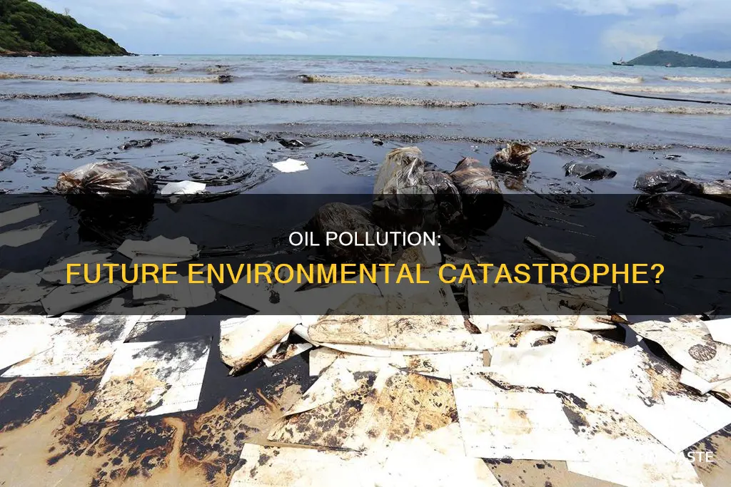 what could oil pollution lead to in the future