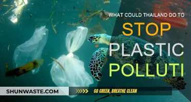 Thailand's War on Plastic: Strategies to Stem the Tide