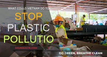 Viet Nam's War on Plastic: Strategies to Win