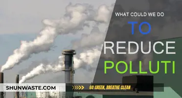 Reducing Pollution: Simple Steps for a Better Tomorrow
