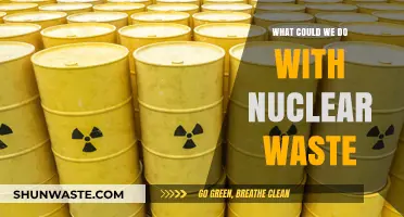 Transforming Nuclear Waste: Innovative Solutions for a Sustainable Future