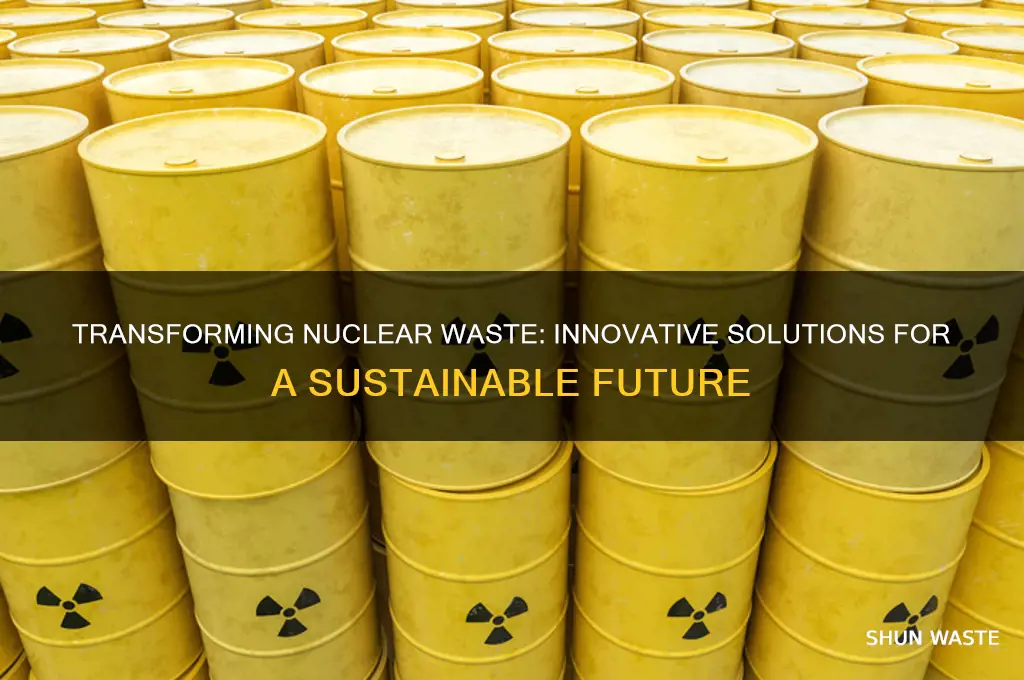 what could we do with nuclear waste