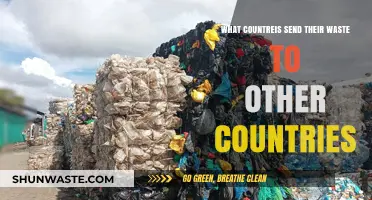 Global Waste Trade: Which Nations Export Their Trash Abroad?