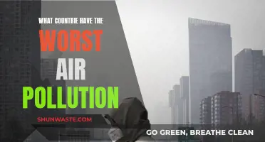 Air Pollution: These Countries Have the Dirtiest Air