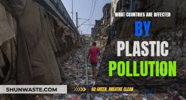 Plastic Pollution's Global Reach: Affected Countries and Regions