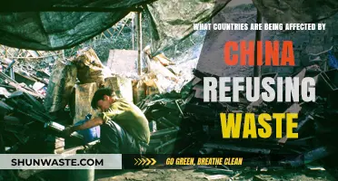 China's Waste Ban: Global Impact on Recycling and Countries Affected