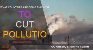 Global Pollution: Who's Leading the Fight?