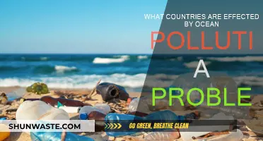 Ocean Pollution's Global Impact and Reach